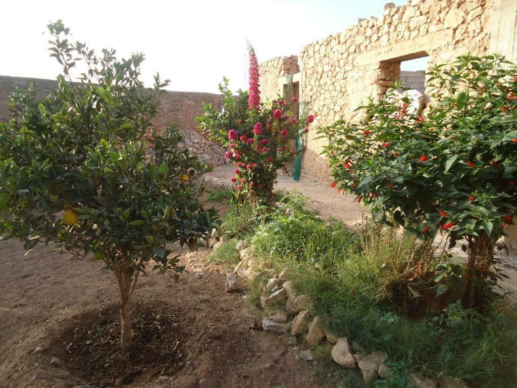 شقة Takad Dream Rural El Borj المظهر الخارجي الصورة
